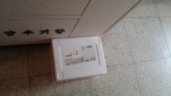 정직한식사, 반찬배달, 반찬, 저염식, 환자식사, 식단제반찬, 아이반찬, 반찬배달, 다이어트 e659de548c2c3b3f9dd4ebf32f5ff37b_1594780096_0326.jpg