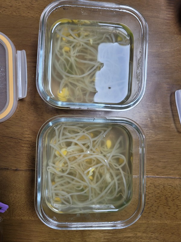 정직한식사, 반찬배달, 반찬, 저염식, 환자식사, 식단제반찬, 아이반찬, 반찬배달, 다이어트 ce292b326c696593b9e702a5af210856_1603255819_317.jpg