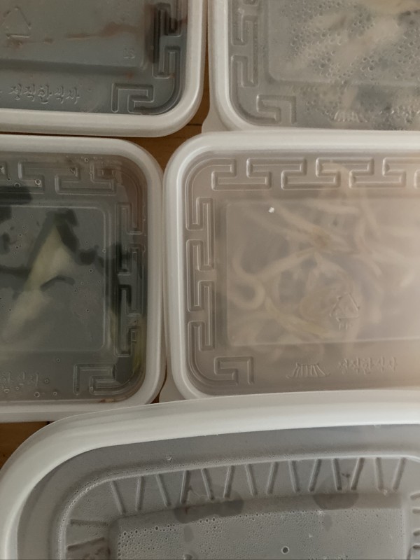 정직한식사, 반찬배달, 반찬, 저염식, 환자식사, 식단제반찬, 아이반찬, 반찬배달, 다이어트 f779b925c19dbe033b8c914c6168eb33_1617957775_2178.jpeg