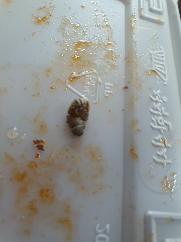 정직한식사, 반찬배달, 반찬, 저염식, 환자식사, 식단제반찬, 아이반찬, 반찬배달, 다이어트 d18e8e2ac8aae55f0a756dffebd6002a_1627001678_5439.jpg